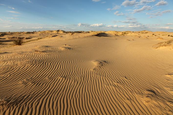Олешковские пески